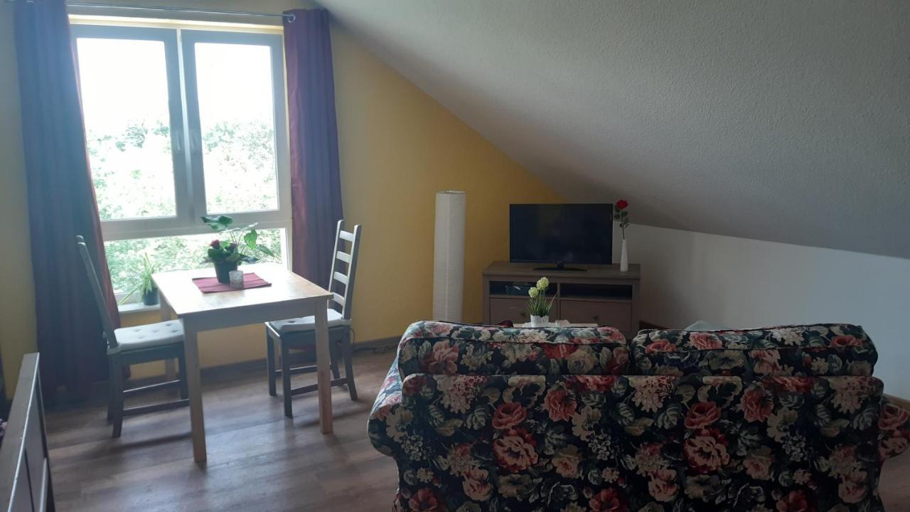 Apartament Haus Am Park Thallwitz Zewnętrze zdjęcie