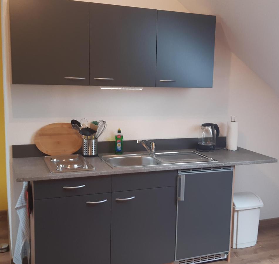 Apartament Haus Am Park Thallwitz Zewnętrze zdjęcie