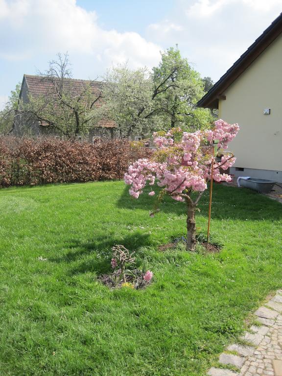 Apartament Haus Am Park Thallwitz Pokój zdjęcie
