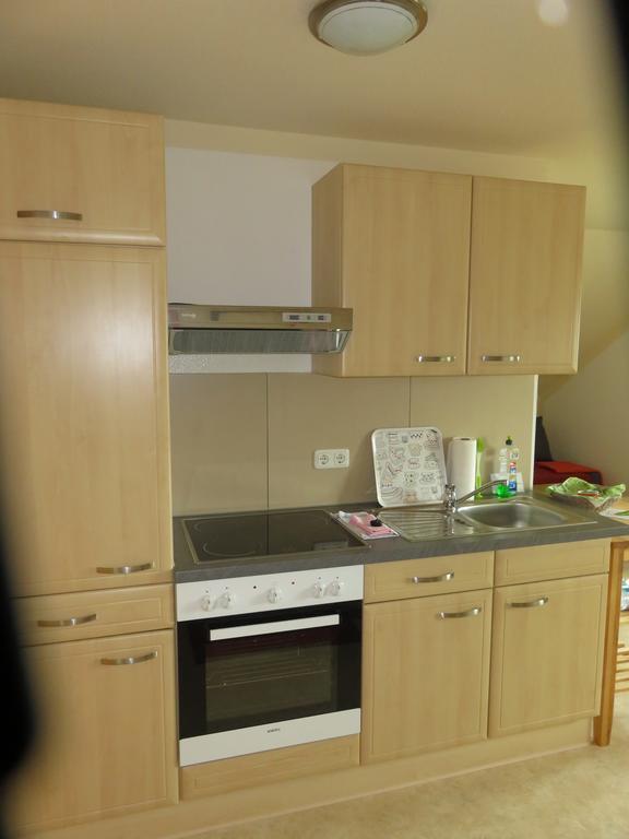 Apartament Haus Am Park Thallwitz Zewnętrze zdjęcie