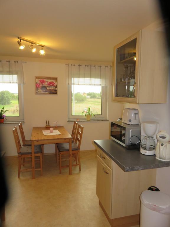 Apartament Haus Am Park Thallwitz Zewnętrze zdjęcie