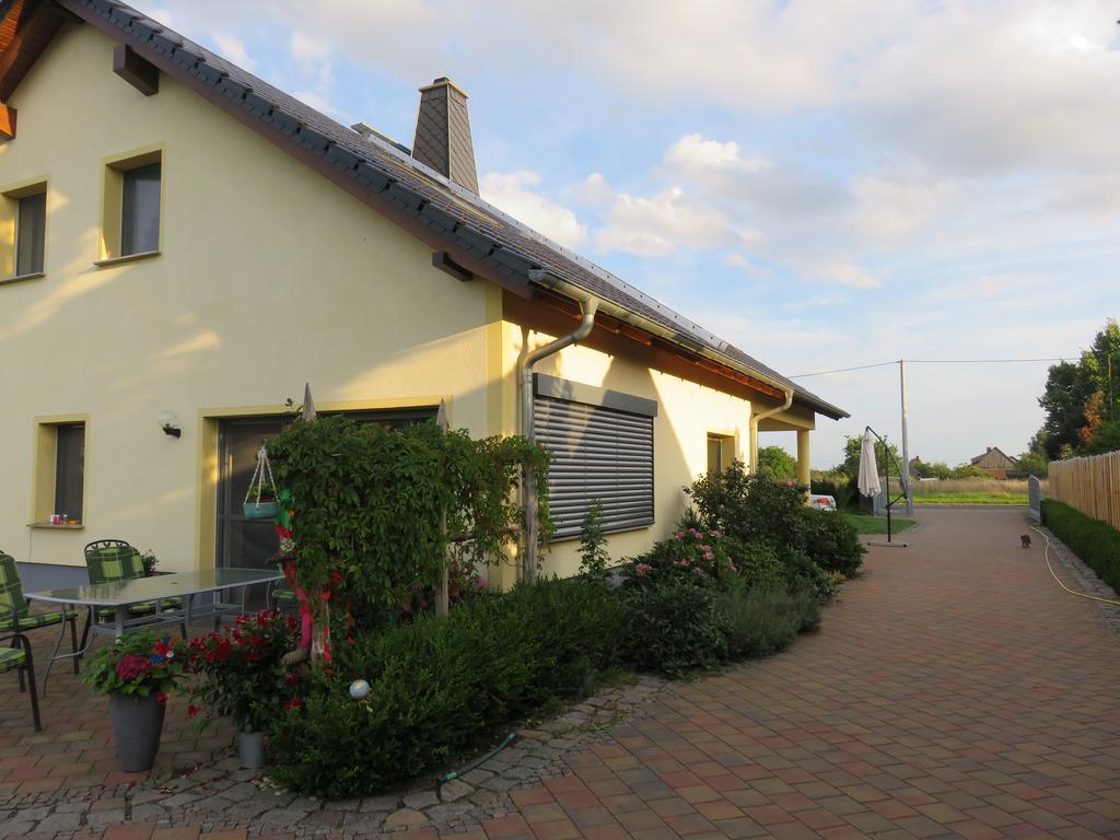 Apartament Haus Am Park Thallwitz Zewnętrze zdjęcie