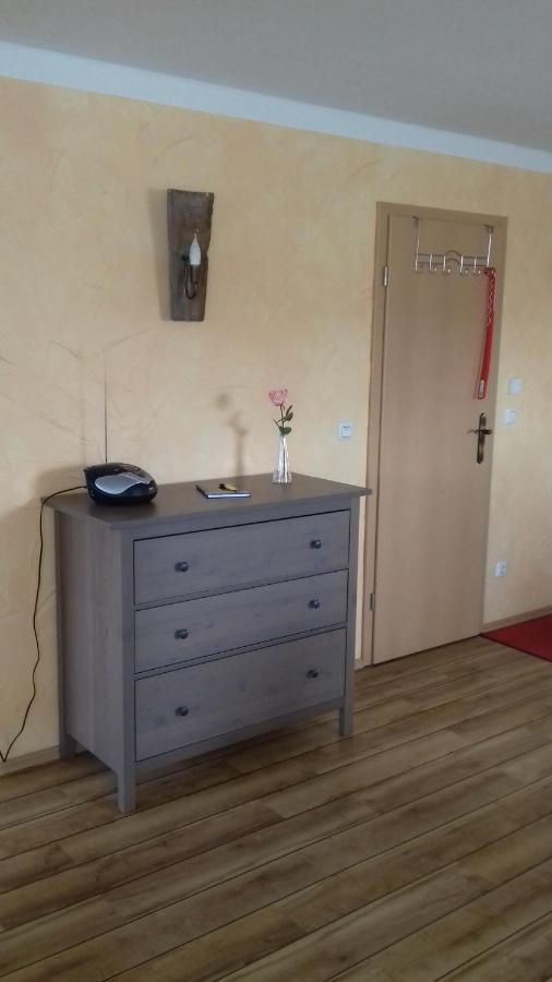 Apartament Haus Am Park Thallwitz Zewnętrze zdjęcie