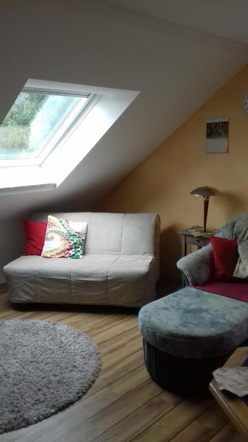 Apartament Haus Am Park Thallwitz Zewnętrze zdjęcie