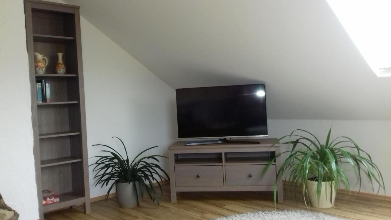 Apartament Haus Am Park Thallwitz Zewnętrze zdjęcie